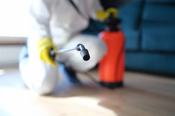 Best Environmental Consulting for Mold Prevention  in Marion, NC